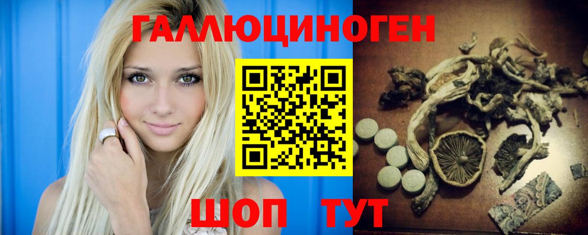 Бор  Галлюциногенные грибы MAGIC MUSHROOMS  Вход с VPN  Псилоцибиновые грибы Psilocybine cubensis 
